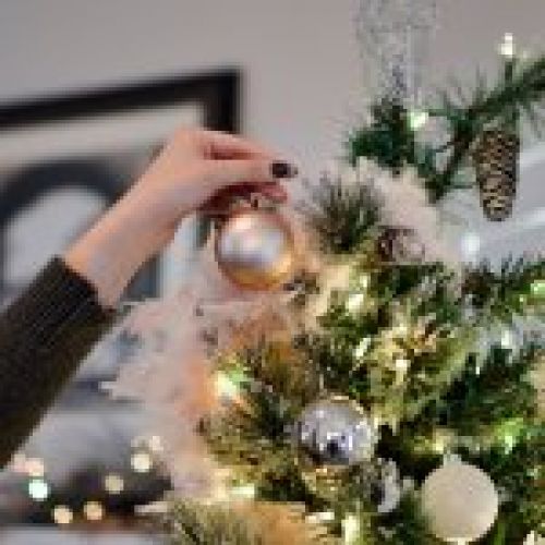 Green holiday   Ayuda en festivos