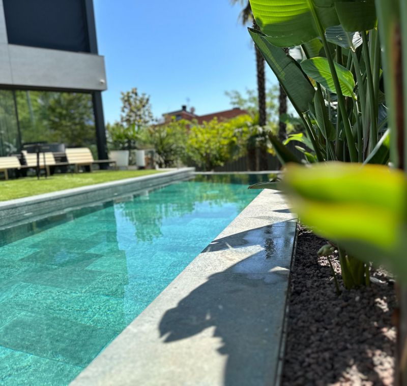 Vista de jardín con plantas y estanque rectangular de agua azul